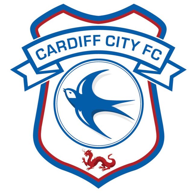 Cardiff City Post £35.1m Loss Following Championship Relegation