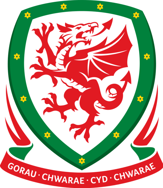 FAW investigation shows referees are leaving the game due to abuse